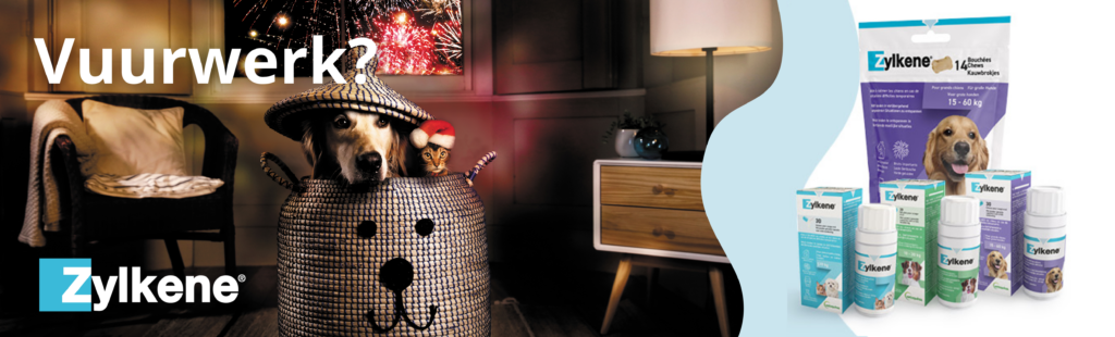 Zylkene helpt je huisdier ontspannen in gespannen situaties, zoals harde geluiden.